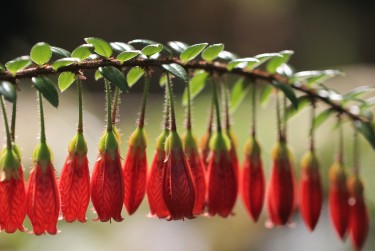 佛山禅城区1私人快速借钱网，轻松解决资金难题