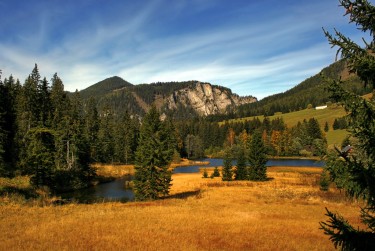 佛山禅城区1民间私贷攻略：揭秘低成本借贷的秘密