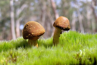 佛山禅城区1私人老板放款：轻松融资的秘密通道